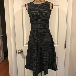 Banana Republic Fit and Flare Dress